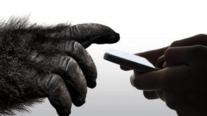 Lire la suite à propos de l’article OPPO sera la premier fabricant de smartphones à adopter le Corning Gorilla Glass 6