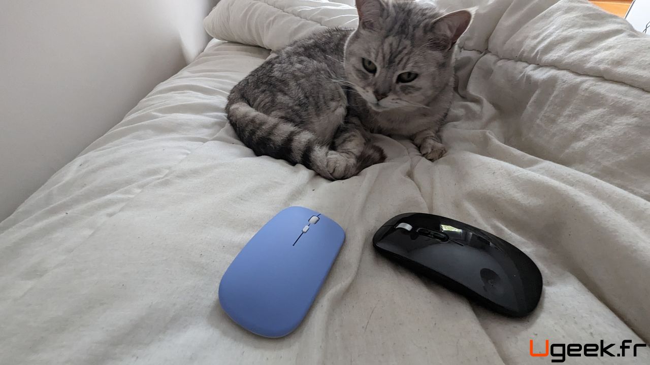 Lire la suite à propos de l’article Souris optique sans-fil rechargeables à 4€ et 10€ sur AliExpress : que valent-elles ?