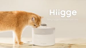Lire la suite à propos de l’article Hiigge lance sa fontaine connectée pour les animaux de compagnie