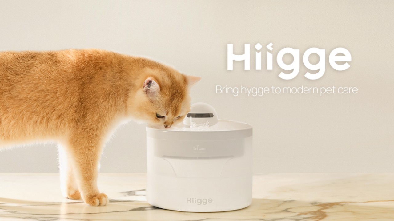 Lire la suite à propos de l’article Hiigge lance sa fontaine connectée pour les animaux de compagnie
