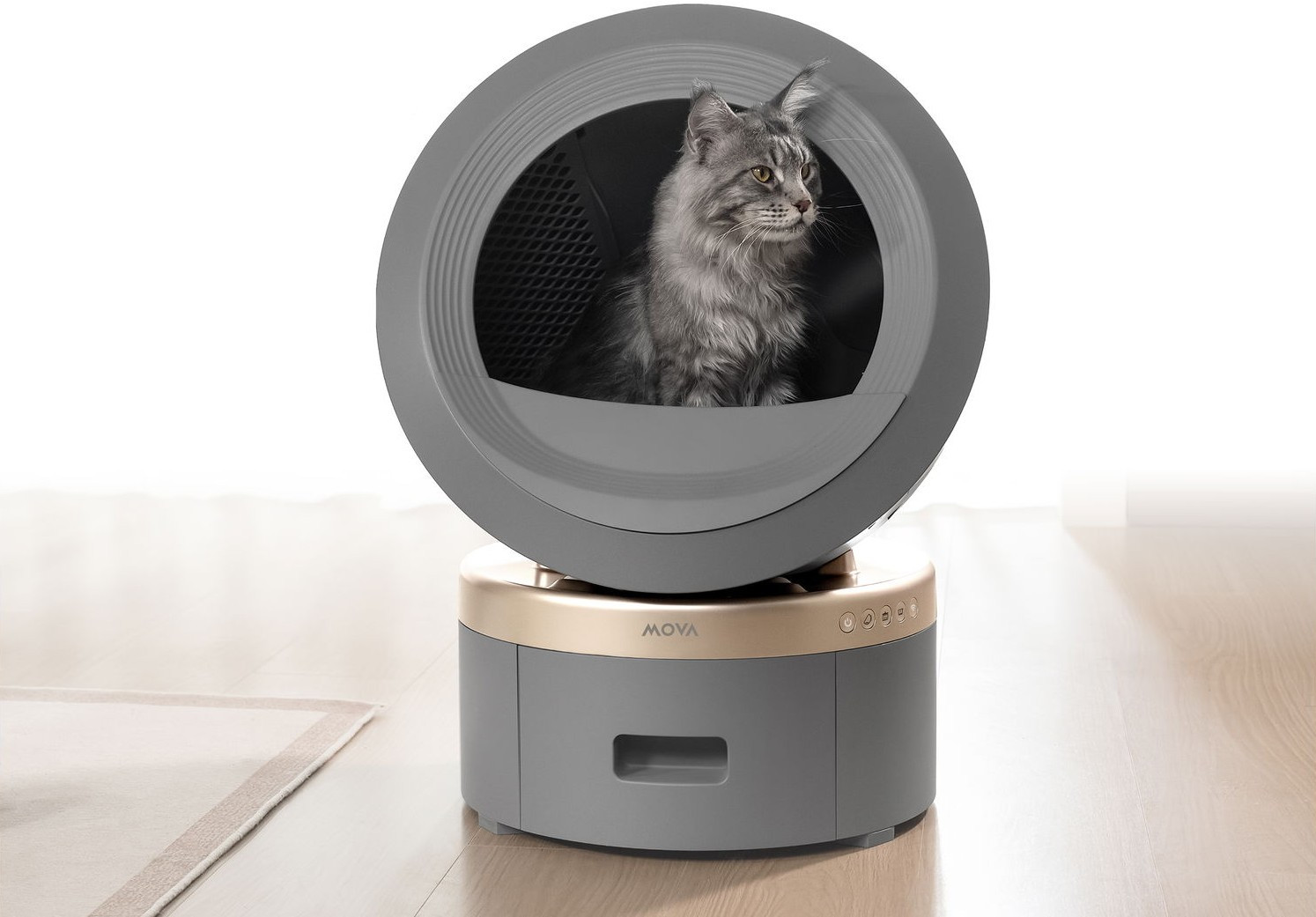 Chat dans la litère automatique MOVA LR1 Prime