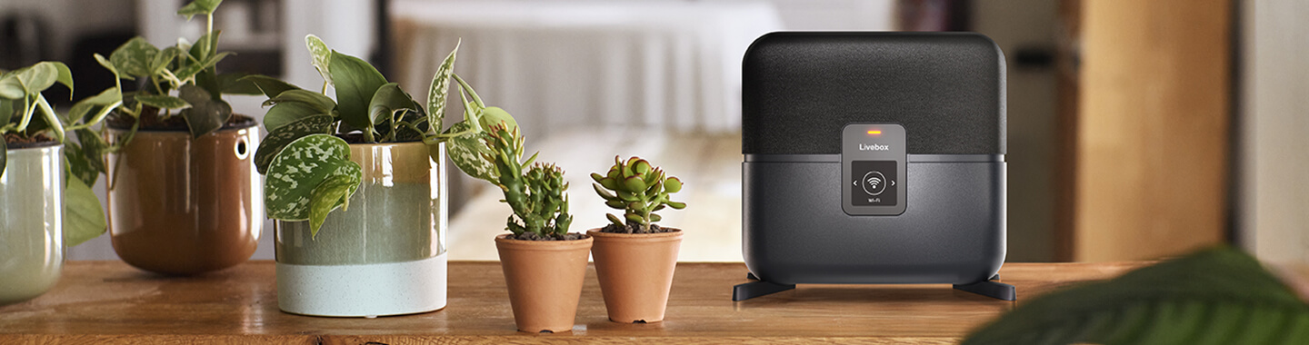 Livebox S allumée à côté de pots de fleurs